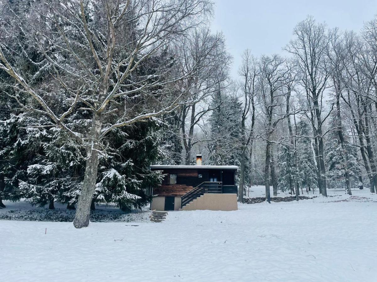 Chata Adam U Lipna Horní Planá Exterior foto